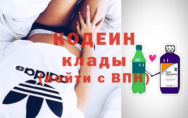 прущие грибы Ростов
