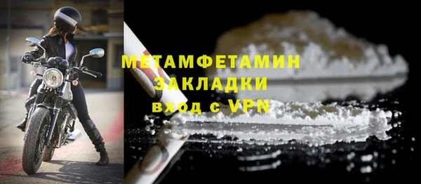 прущие грибы Ростов