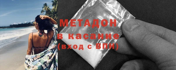 прущие грибы Ростов