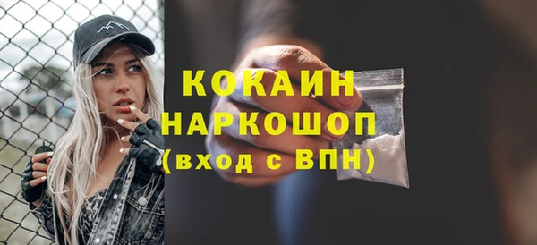 прущие грибы Ростов