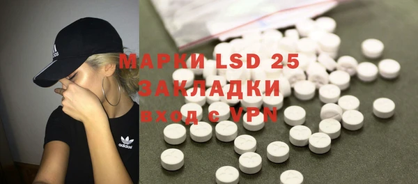 PSILOCYBIN Сатка