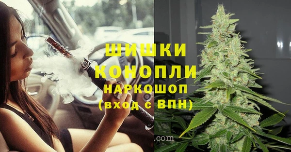 PSILOCYBIN Сатка