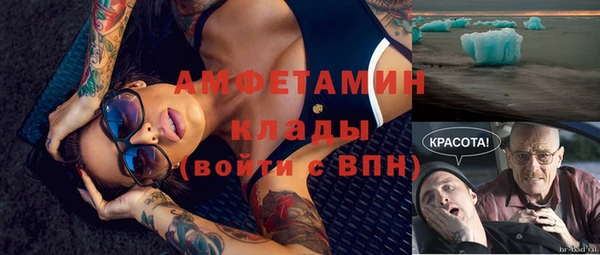 apvp Рославль