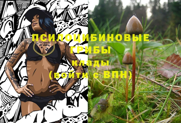 PSILOCYBIN Сатка