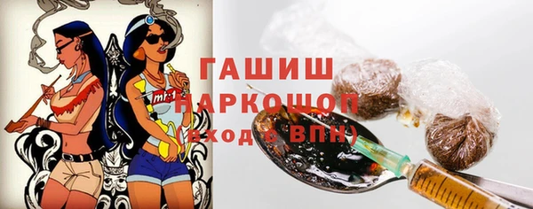 прущие грибы Ростов