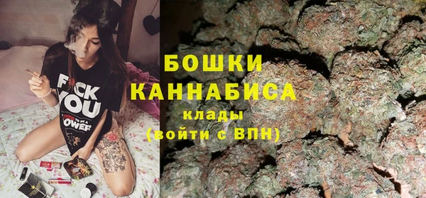 прущие грибы Ростов
