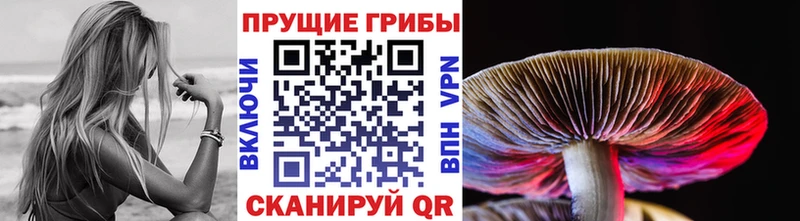 Псилоцибиновые грибы MAGIC MUSHROOMS  Купить где  Первоуральск 